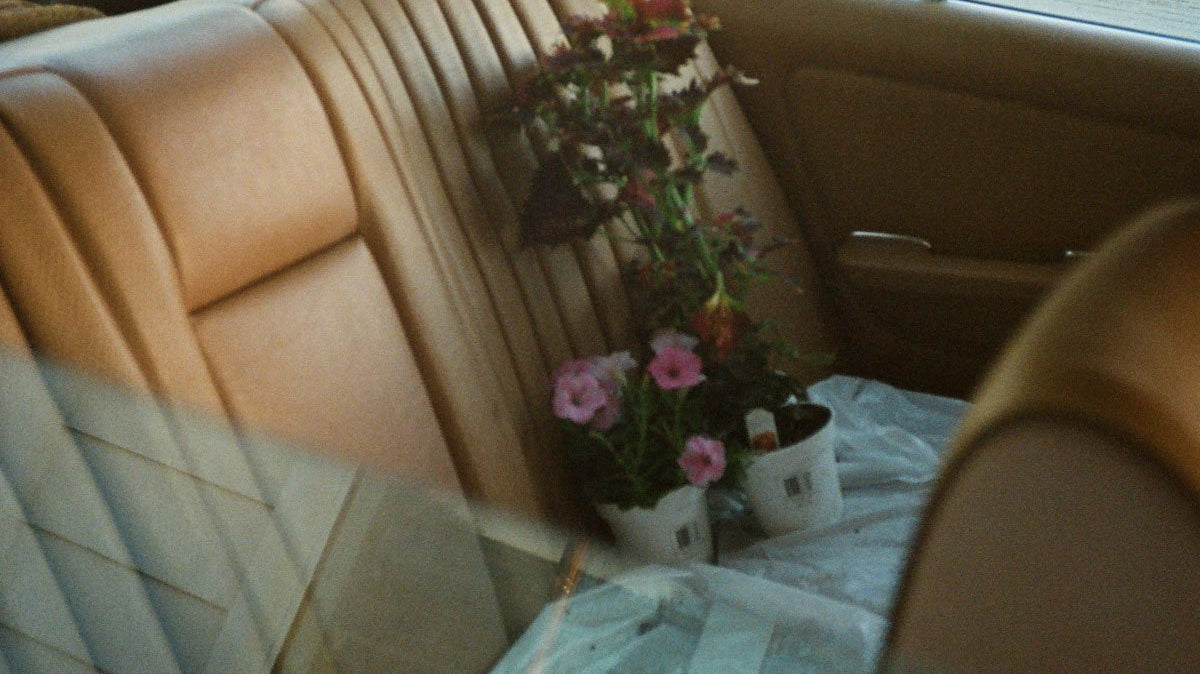 Brixton Broadcast: Photo of the Month Winner | January 2019