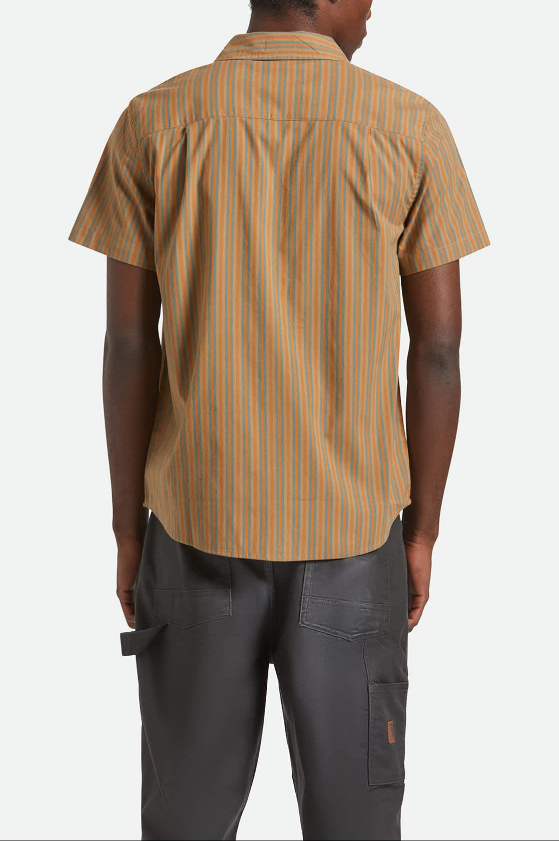 Men's Charter Stripe S/S Shirt in the color Rustic Caramel/Night Sage - Men's Back View