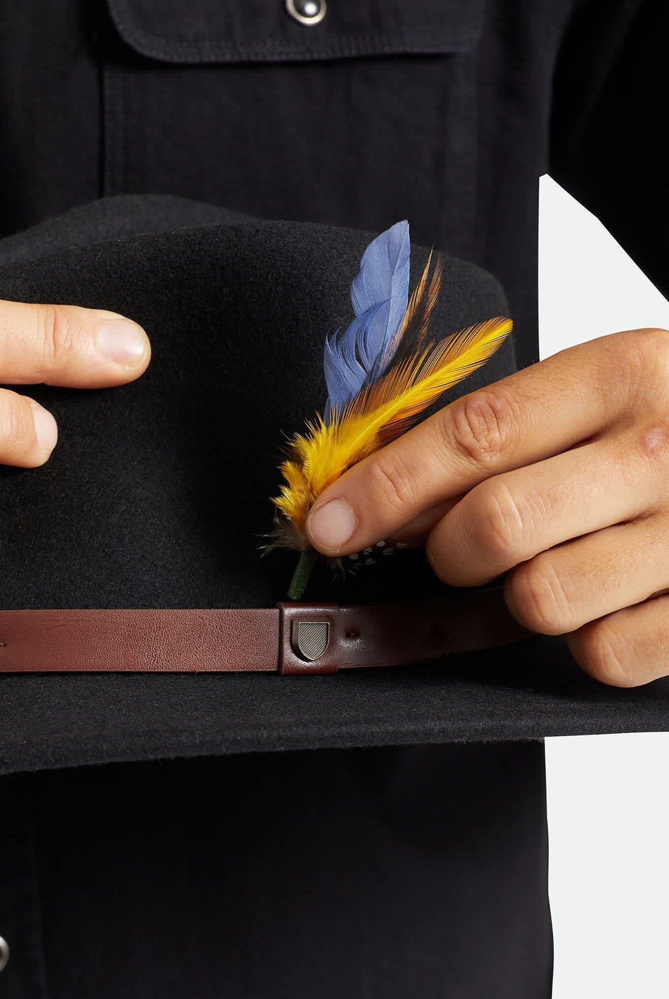 Unisex Brixton Hat Feather in the color Joe Blue/Black/Yellow - Additional Style View