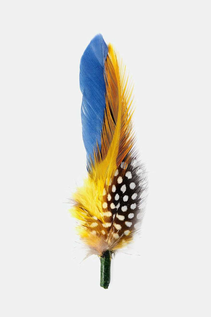 Brixton Unisex Brixton Hat Feather - Joe Blue/Black/Yellow | Profile