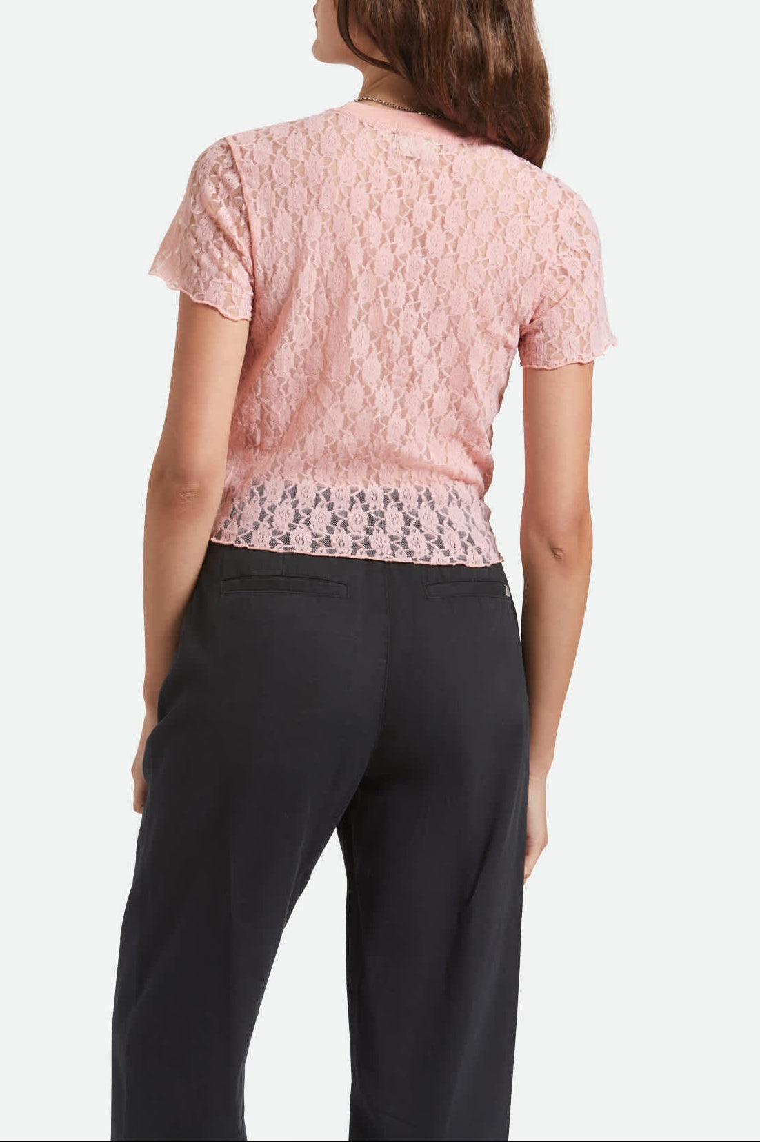 Women's Sheer Slim Lace S/S Top in the color Mellow Rose - Women's Back View