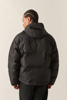 Men's Journey Puffer Jacket in the color Black - Men's Back View