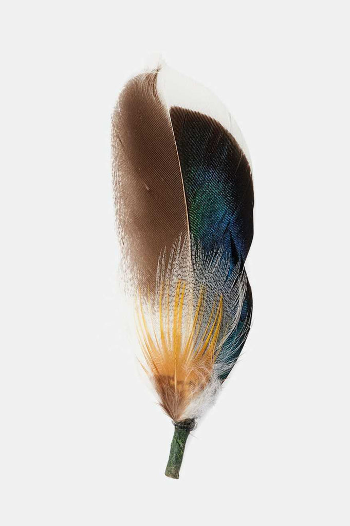 Brixton Unisex Brixton Hat Feather - Moonlit Ocean/Bison/Mojave | Profile